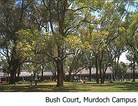 Murdoch Campus