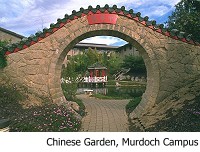 Chinese Garden
