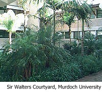 Sir Walter's Courtyard