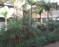 Sir Walter's Courtyard