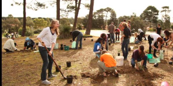 group of people planting trees