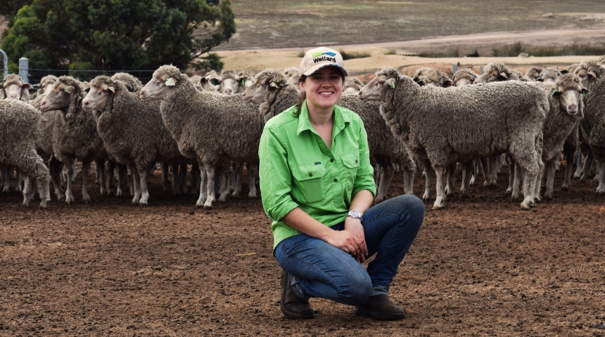 Dr Amy Lockwood in the field with a flock of ewes