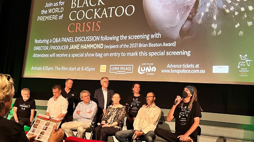 Panelists discuss documentary Black Cockatoo Crisis