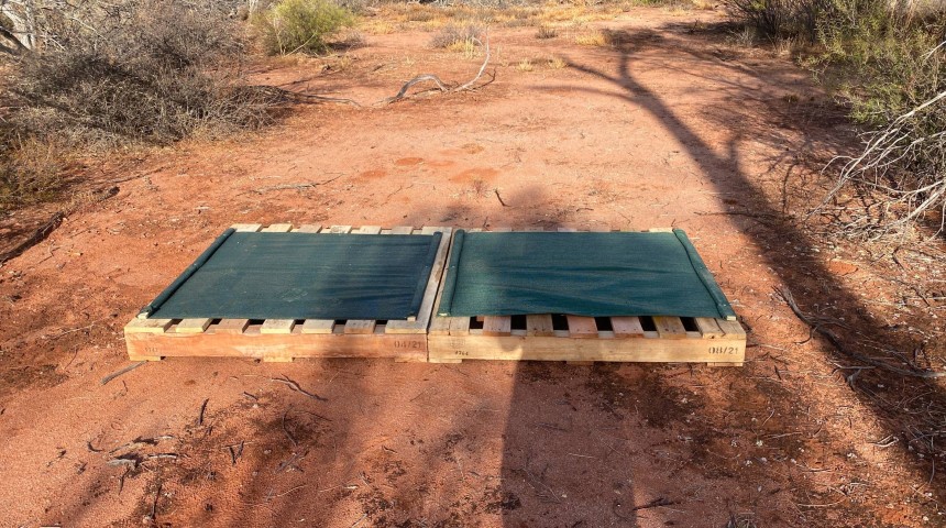 Wooden pallets laid on the red dirt ground with a top cover: Wildlife shelter