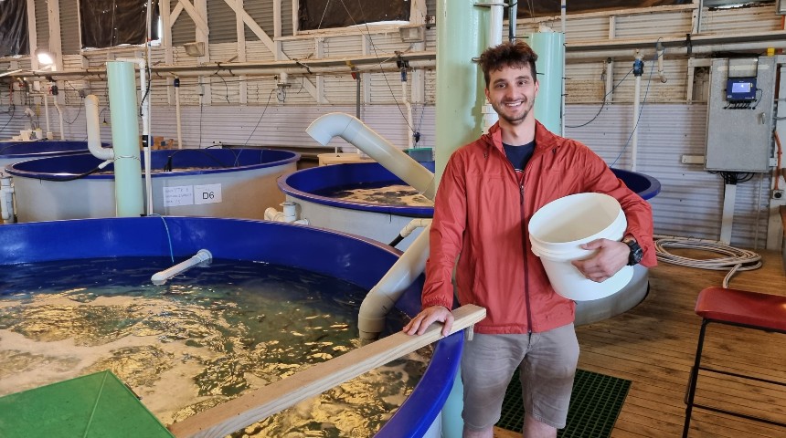 PhD student Dino Milotic at the WA Department of Primary Industries and Regional Development fish hatchery in Fremantle