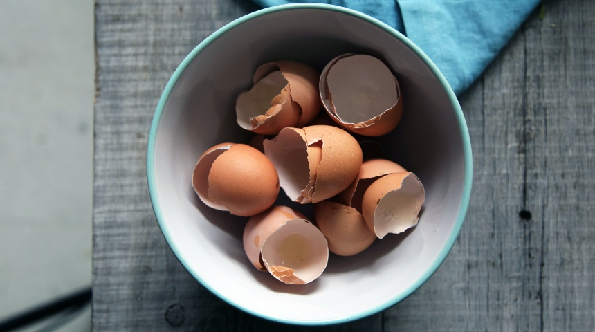 eggshells in bowl