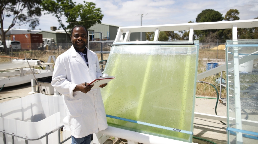 Emeka Nwoba monitors an experiment at Murdoch's Algae R&D Facility