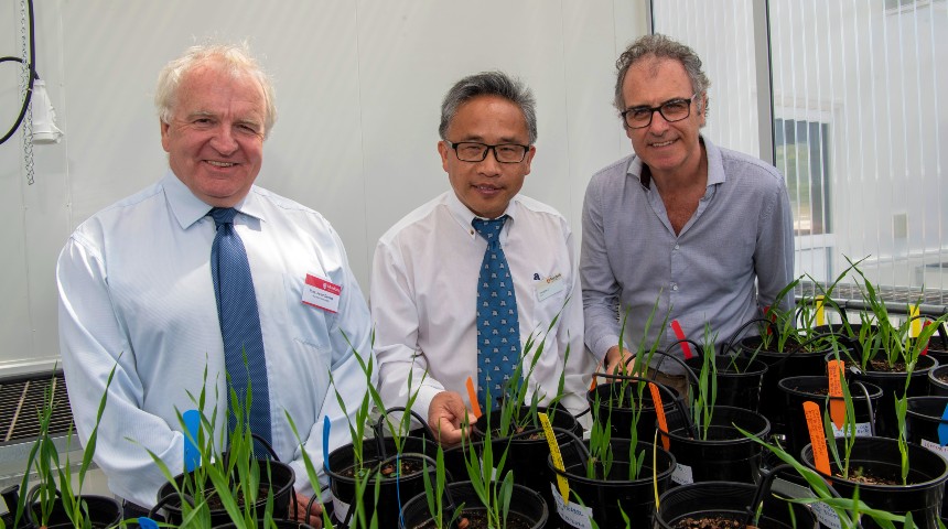 murdoch scientists in a glasshouse