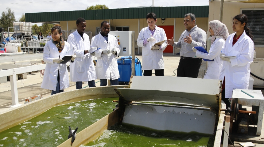 The team at Murdoch's Algae R&D Facility stading by an algae pond
