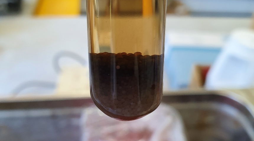Vial of resin absorbing lactic acid from broth