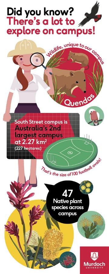 Infographic about the native flora and fauna on campus