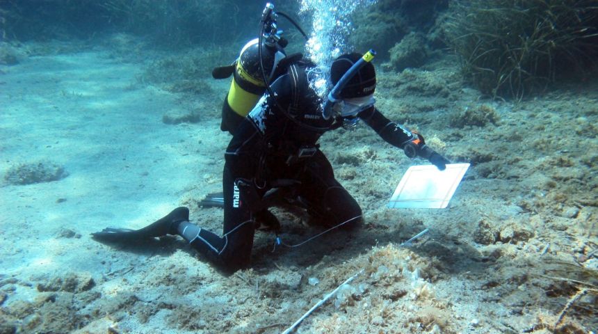Underwater Forensics 4 (860 × 480px)
