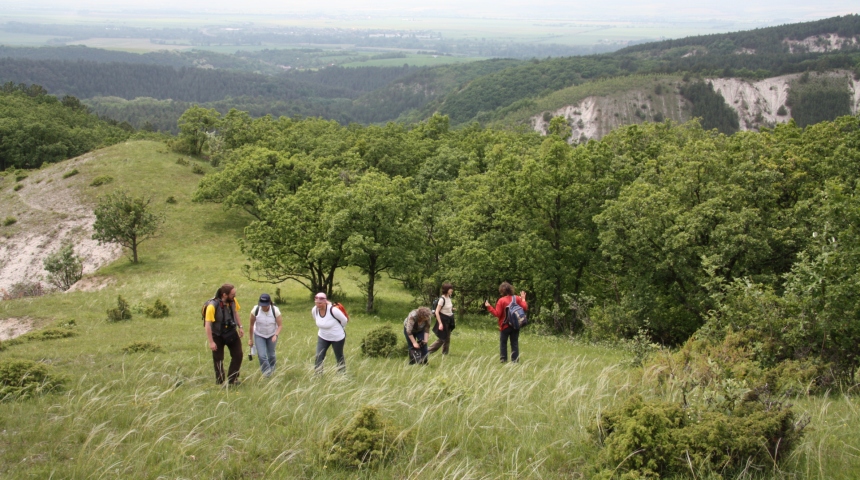 A typical landscape of Western Slovakia, with undulating hills covered by old dry grasslands,