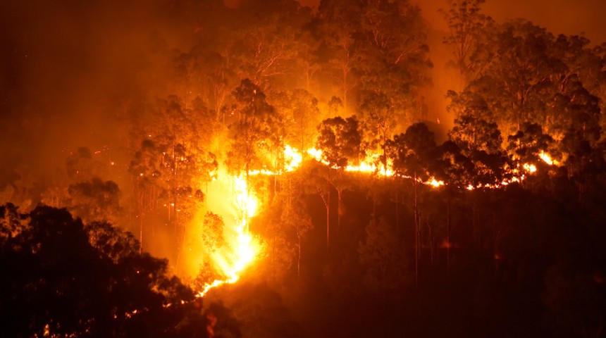 Out of control bushfire