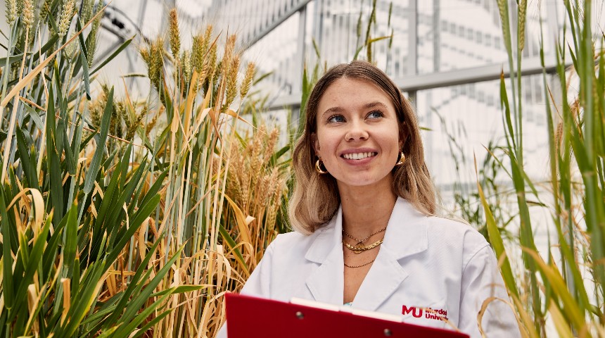 Murdoch student standing among crops