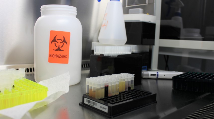 Researchers testing samples in a lab