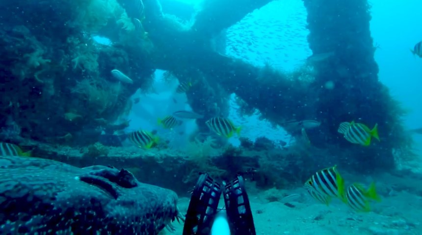 An artificial reef in Geographe Bay