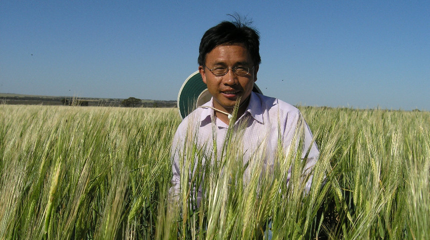 Chengdao Li in a barley field. Pic by DPIRD