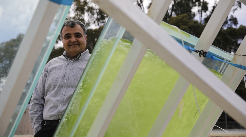 Associate Professor Navid Moheimani looking through algae panels
