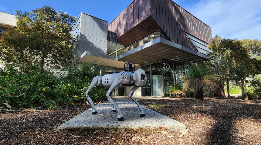 Dwert the robot dog outside the Engineering building at Murdoch University