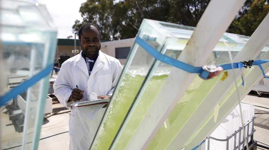 Emeka Nwoba at Murdoch's algae R&D facility