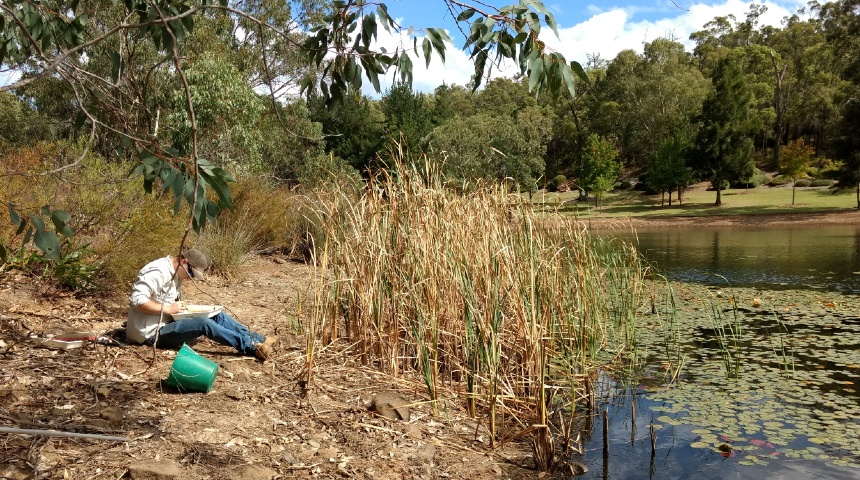 A researcher sits by a dam to survey flora and fauna