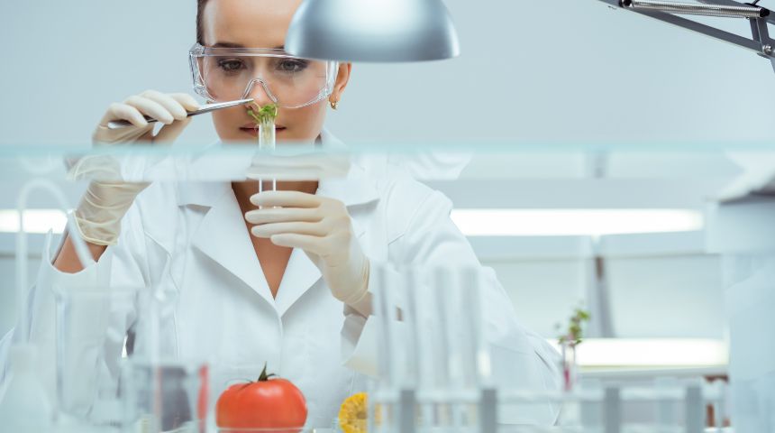 Food scientist inspects food sample test tube in a lab