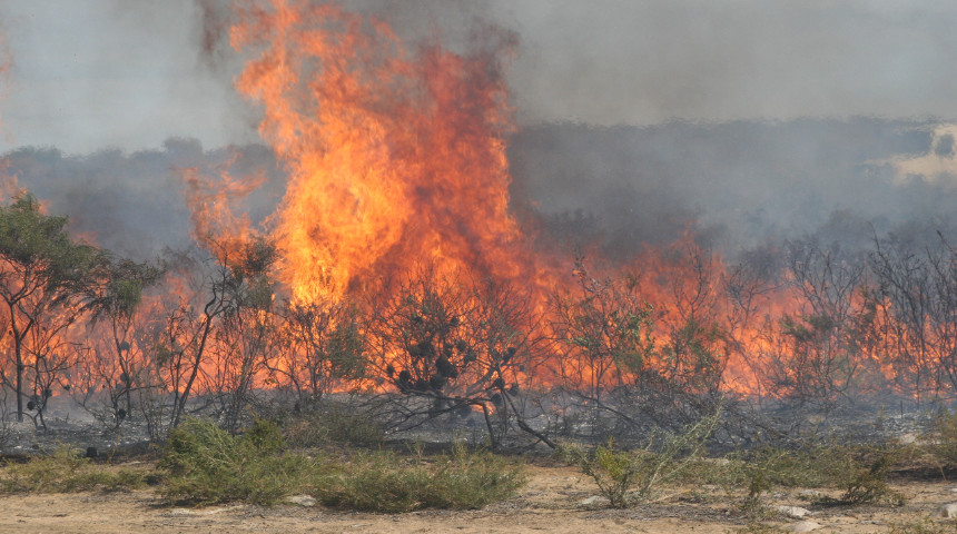 Fire in shrublands in WA