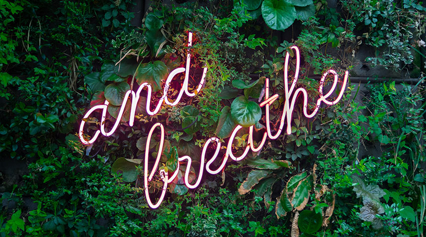 Pink neon sign saying 'and breath' on a plant wall