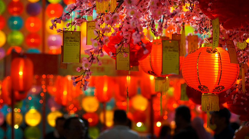 Red lanterns among cherry blossom trees