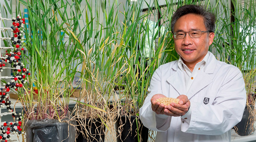Professor Li is a world leading molecular geneticist and Director of the Western Barley Genetics Alliance
