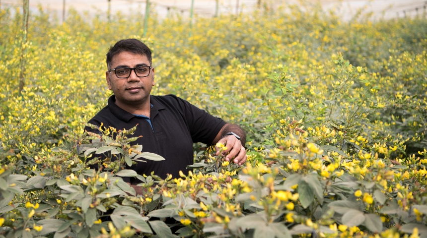 Professor Rajeev Varshney in a pigeonpea field at ICRISAT, India, in 2018