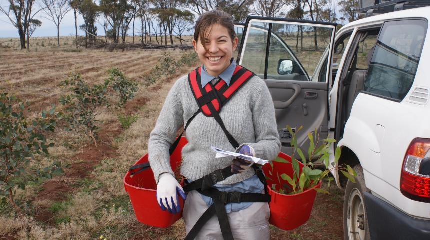 Researcher holds plant seedlings ready for planting at Peniup carbon farming experiment