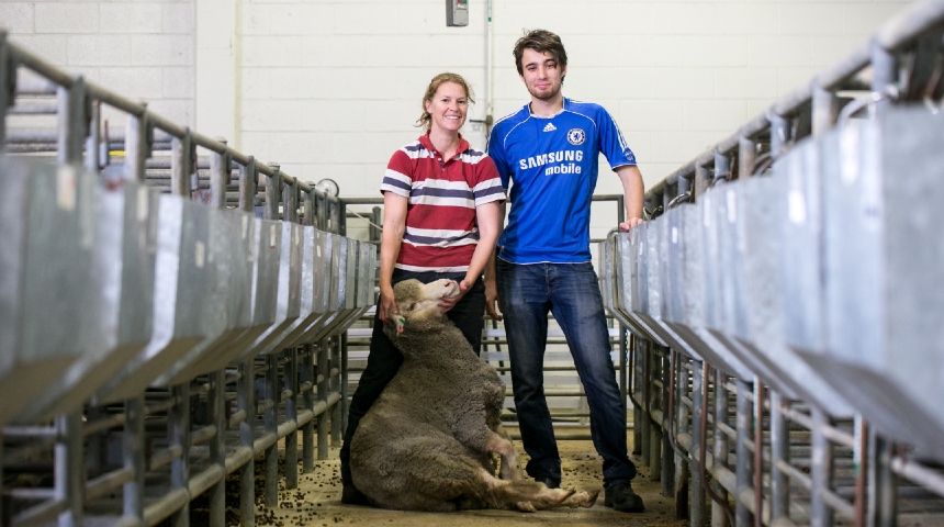 Two researchers hold sheep in stock yard while looking at the camera