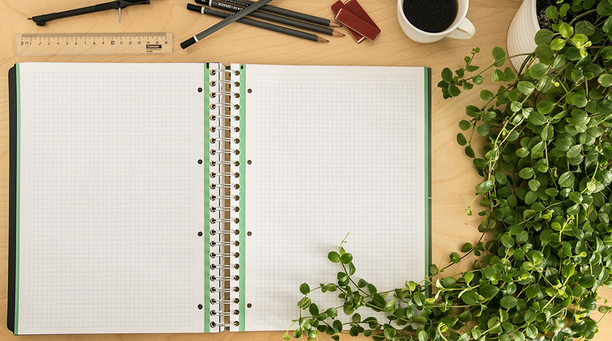 Notebook with ruler and plant