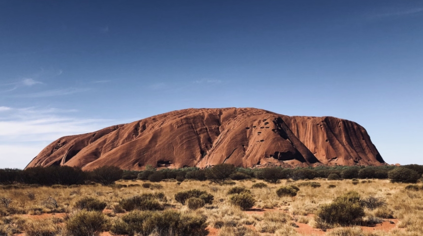 Uluru in the day with desert grass in the foreground