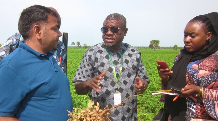 Professor Rajeev Varshney, a male of Indian origin, speaks with researchers, an African woman and two African men, in a field growing grain.