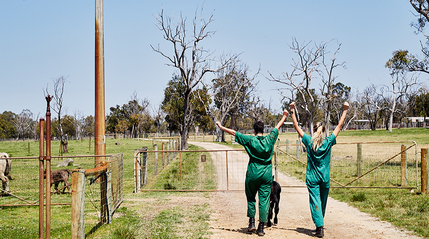 Two Murdoch Veterinary students walk down a path at a farm.