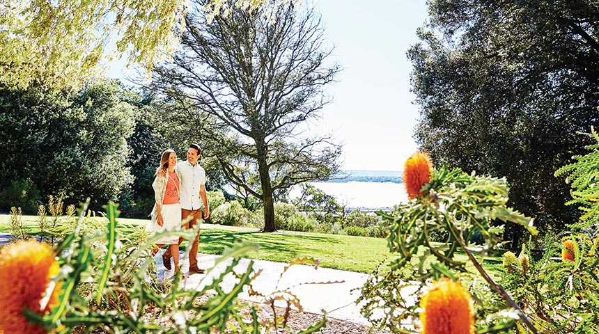 A male and female walking together in Kings Park with the river in the background and banksias in the foreground