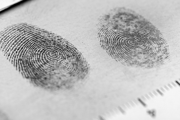 fingerprints on paper in investigation