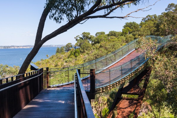 Picture of walking trail in Kings Park 
